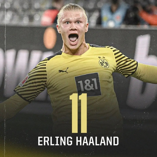 风险与变量 风险与变量